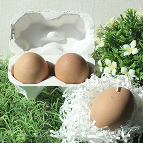 [부활절 계란]이환진 성도의 맥반석 구운 계란 (2구, 중란, 종이포장)